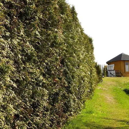 Holiday home Freistehendes Am Malerischen Nepperminer Mit Terrasse Und Ruderboot